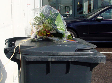 3165 470bloemen