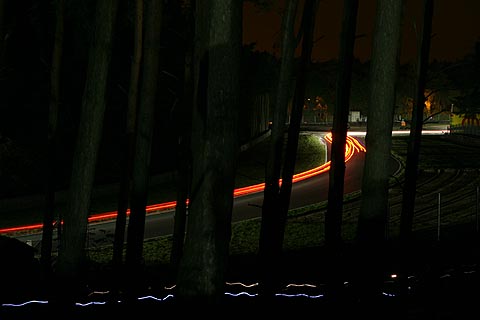  Bomen 