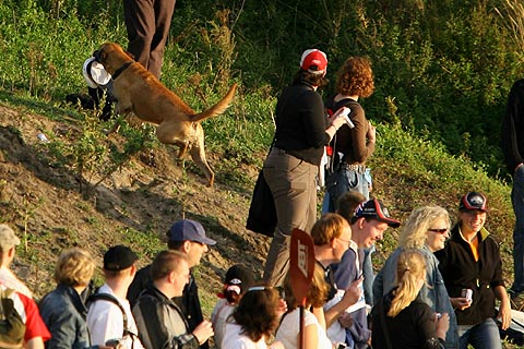  Hond_met_pet1 