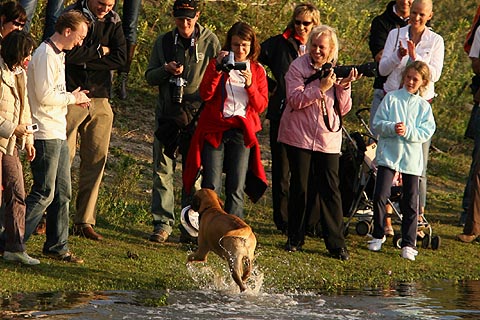  Hond_met_pet2 