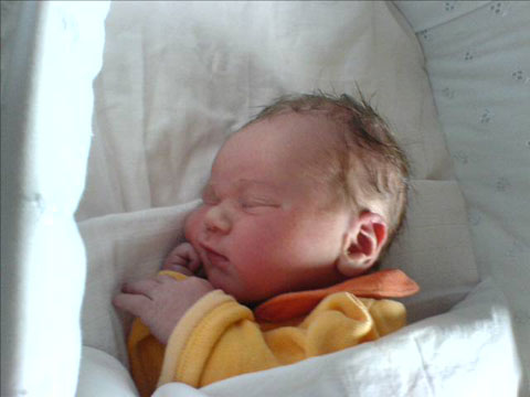  zoon_marc_koster 