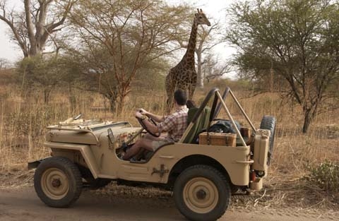 dakar_safari_480