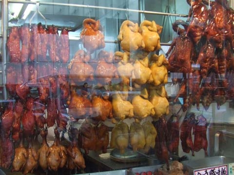 macau18