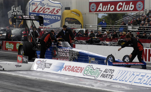 pomona_brown_a