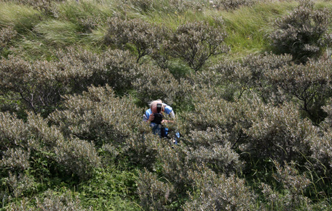 480_chris_duinen_7058