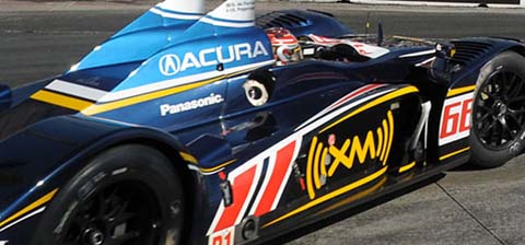 alms_long_beach_action