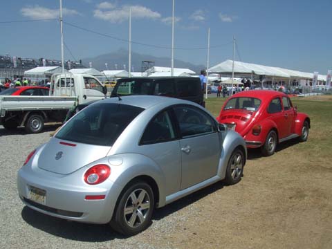 Geen puebla_32