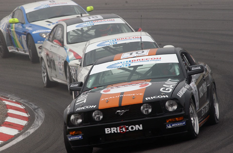 480_mustang_bernhard_3740