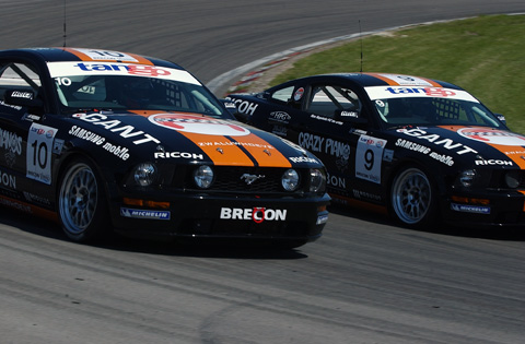 480_mustangs_4419
