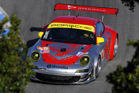 flying_lizard_laguna