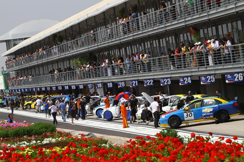 480_paddock_4995
