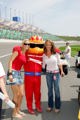 firehawk