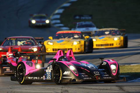 2010plm206