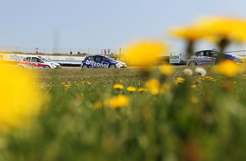 480_bloemen_551