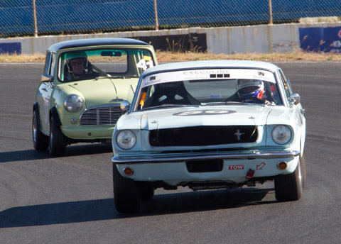 mustang_mini