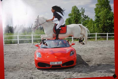 2012_steigerend_paard
