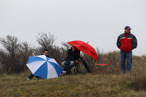 480_koude_duinen_120477