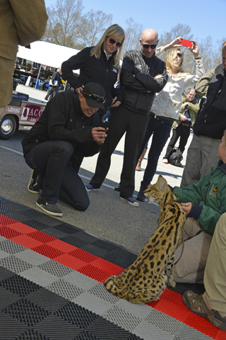 2013_rahal_bms 2013_rahal_bms