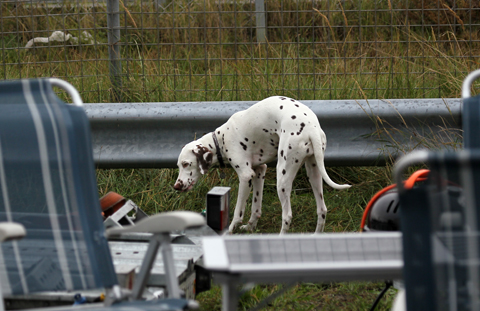 480 hond 2891