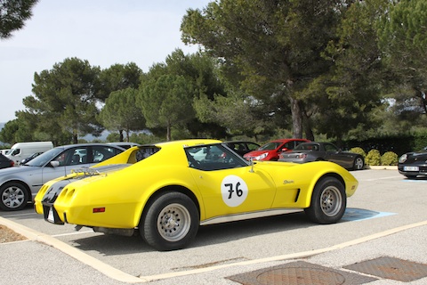140329 WEC Groeten Stingray