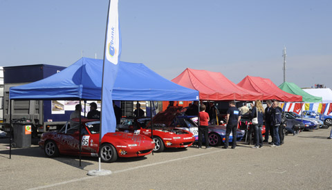 sp paddock