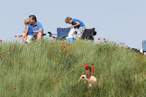480 publiek duinen 0073