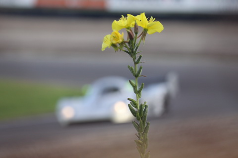 Sauber getroffen Sprak een Duitse collega
