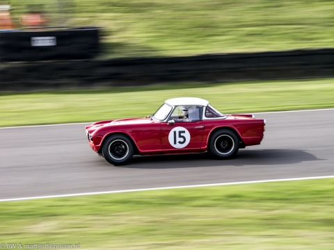 goodwood-revival-2014-sun-10
