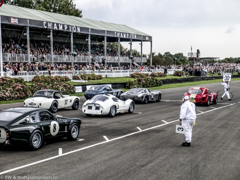 goodwood-revival-2014-sun-46