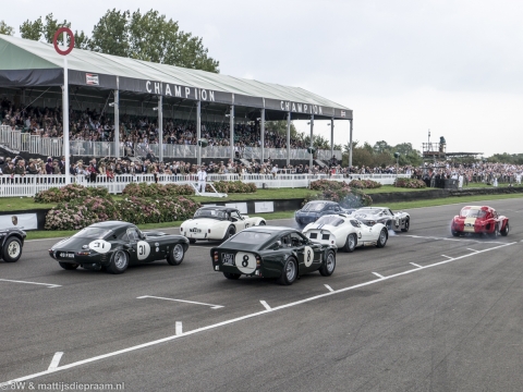 goodwood-revival-2014-sun-49