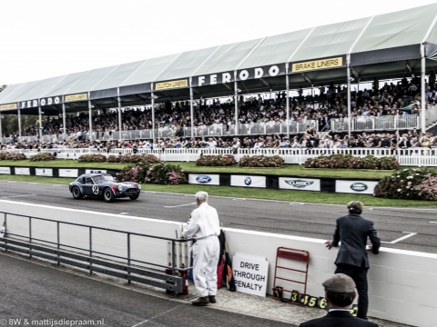 goodwood-revival-2014-sun-50