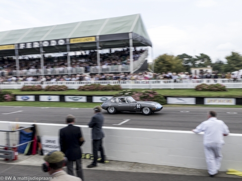 goodwood-revival-2014-sun-52
