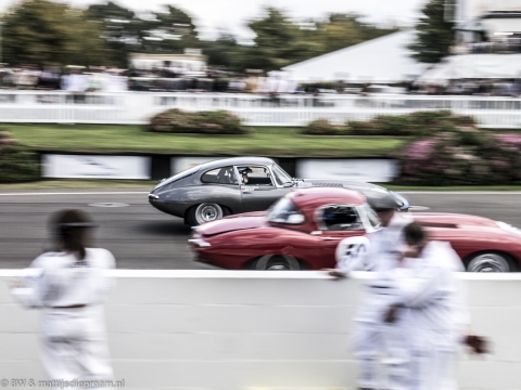 goodwood-revival-2014-sun-53