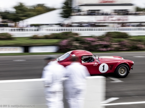 goodwood-revival-2014-sun-55