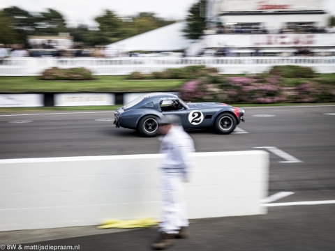 goodwood-revival-2014-sun-57