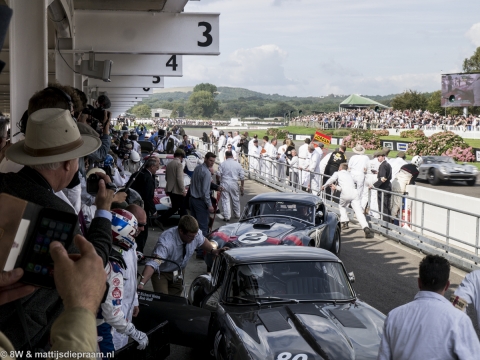 goodwood-revival-2014-sun-59