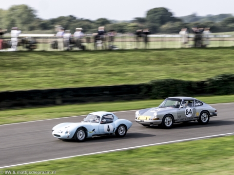 goodwood-revival-2014-sun-8
