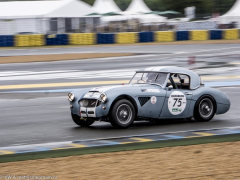 lmc14-sun-3