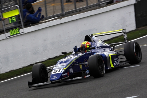 MSAF4-BRands2