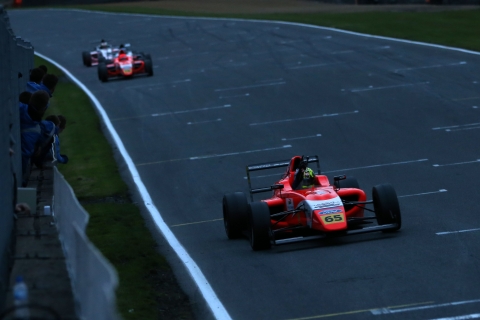 MSAF4-Brands3