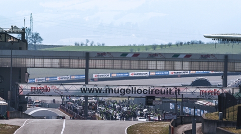 Start grid 800pix