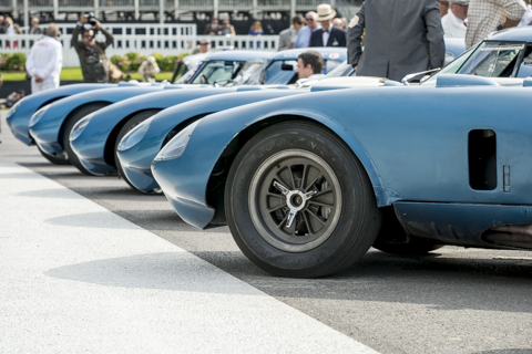 goodwoodrevival2015-bob-11