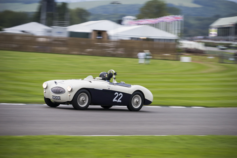 goodwoodrevival2015-bob-23