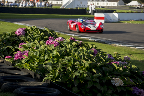 goodwoodrevival2015-bob-47