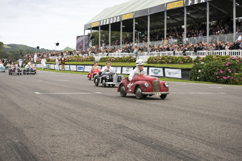 goodwoodrevival2015-bob-61