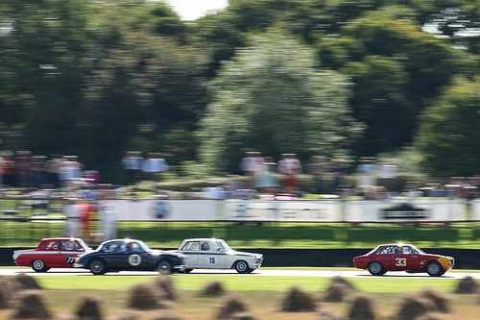 3 honden vechten om een been Tom Kristensen gaat er mee heen