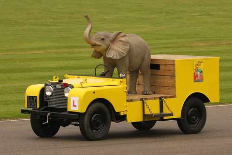 In de jren 60 stond daar een echte baby olifant. dat mag tegenwoordig niet meer van de dieren bescherming