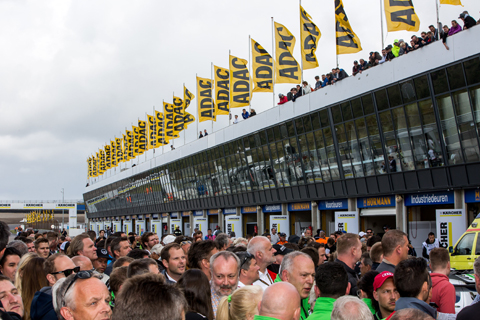 drukte in paddock