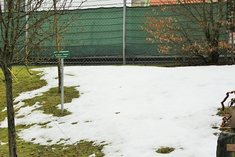 2016 Sneeuw