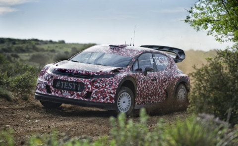 WRC ARG Citroen